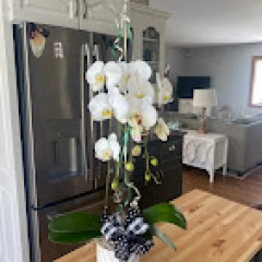 Seller Image